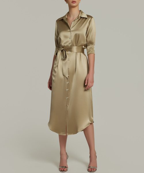Olive Silk Shirt Dress